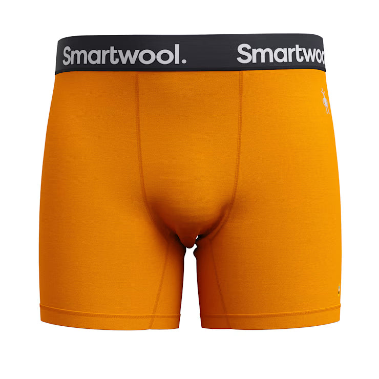 Smartwool Merino Men's Active Boxer Brief Boxed - Image 3