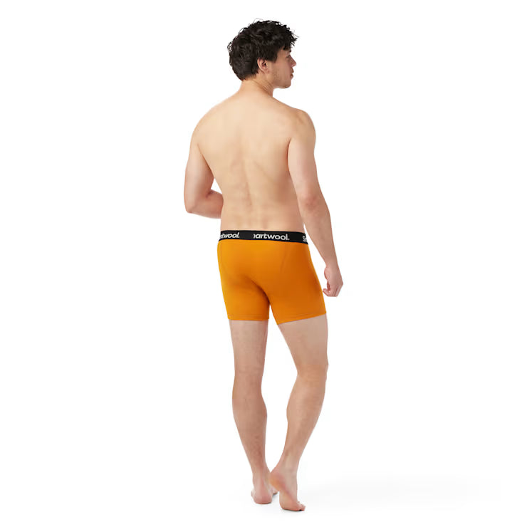 Smartwool Merino Men's Active Boxer Brief Boxed - Image 2
