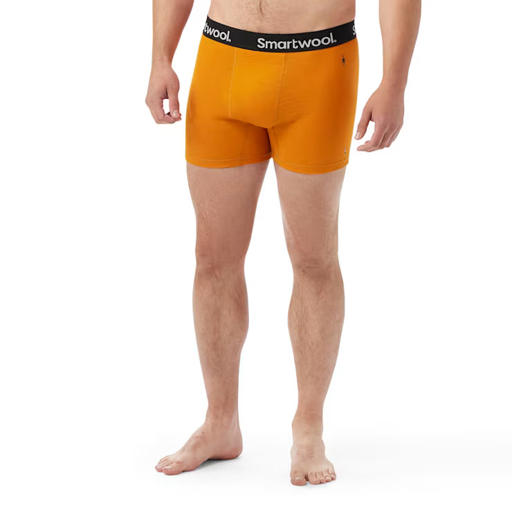 Smartwool Merino Men's Active Boxer Brief Boxed